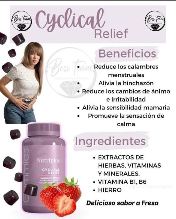 24f3634a-7c7a-4c18-ab35-26119491208d GOMITAS CYCLE